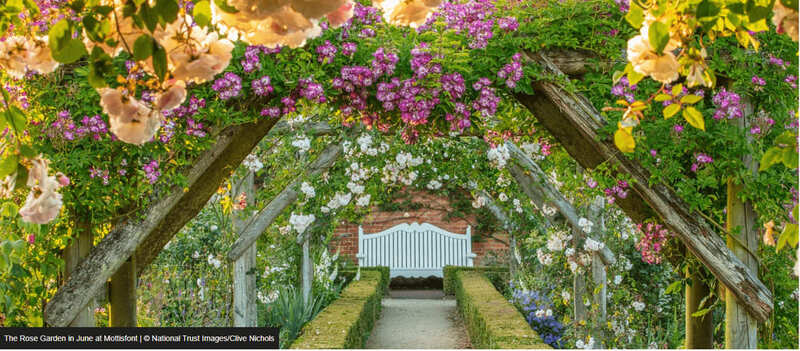 Rose Garden at Mottisfont