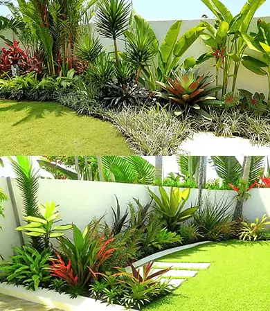 tropical style garden