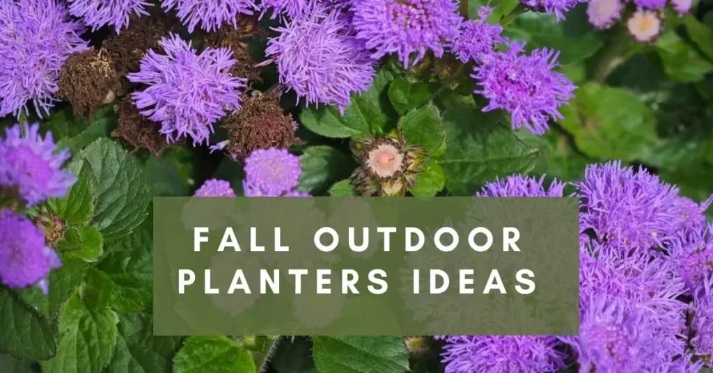 Fall outdoor planters ideas