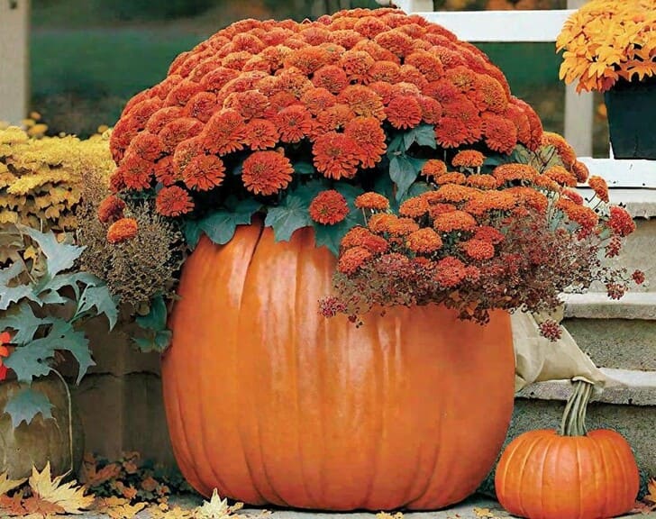 pumpkin pots