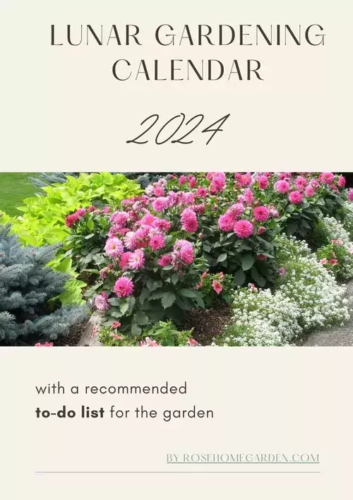 Lunar calendar for gardeners