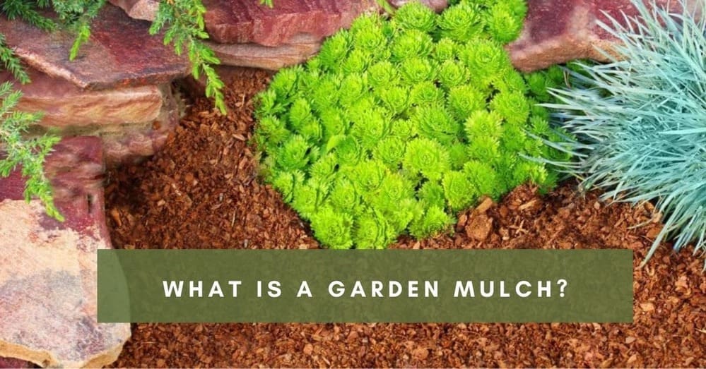 What is a garden mulch?