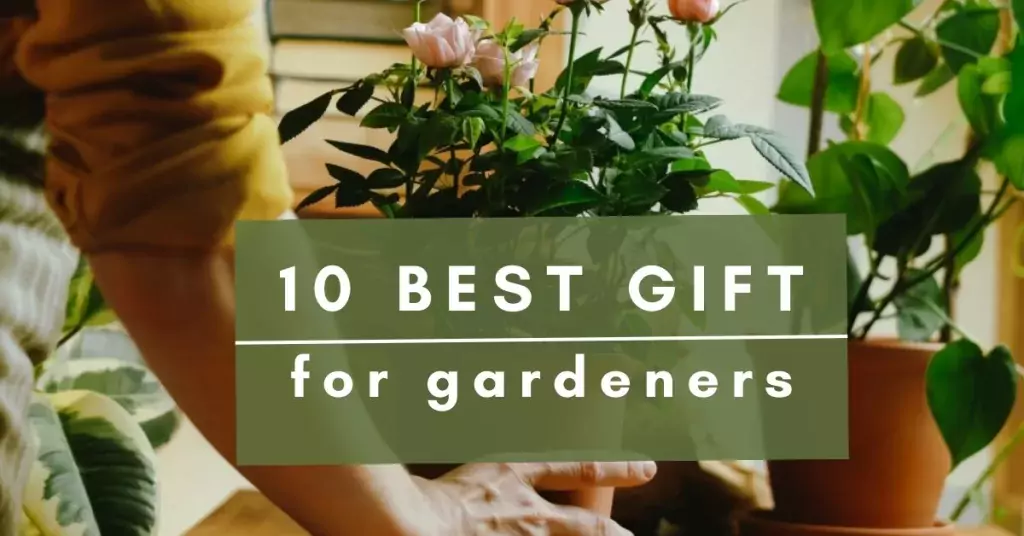 best gift for gardener