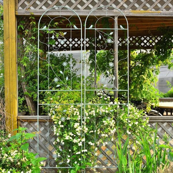 roses support, trellis for roses