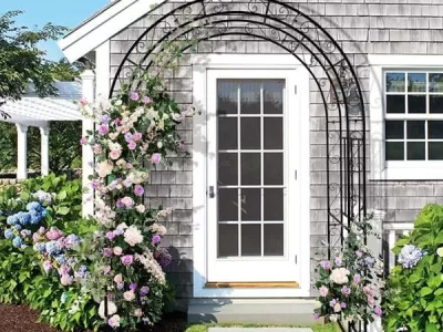 how to plan roses garden