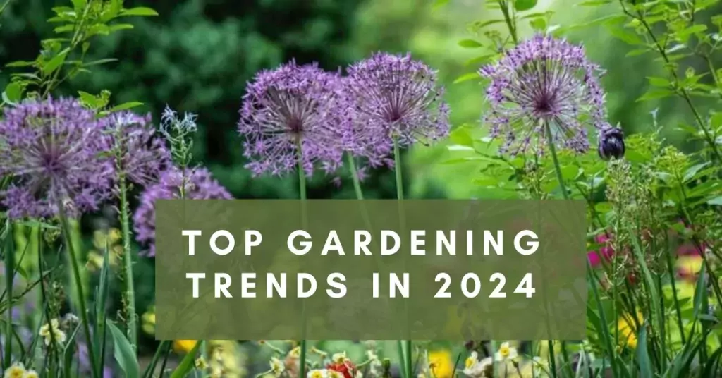garden trends in 2024