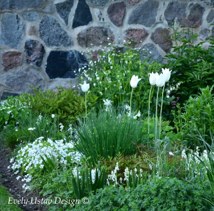 white garden design