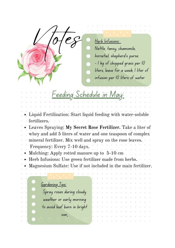 rose garden planner