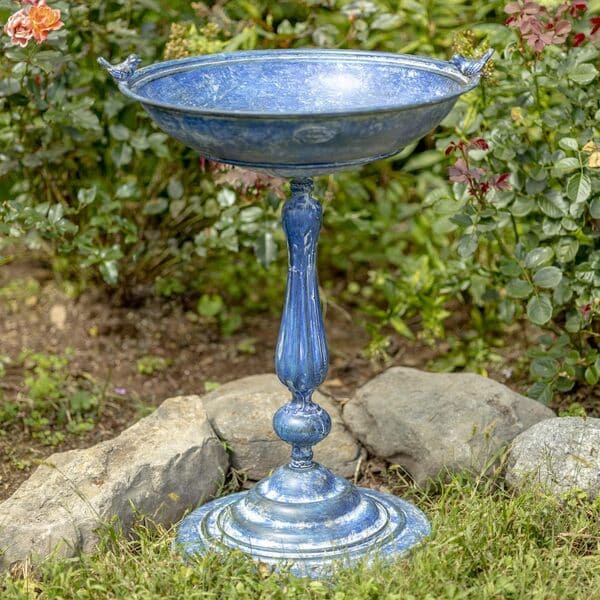 birdbath in romantic rose garden