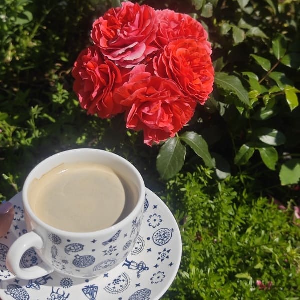 coffee grounds roses