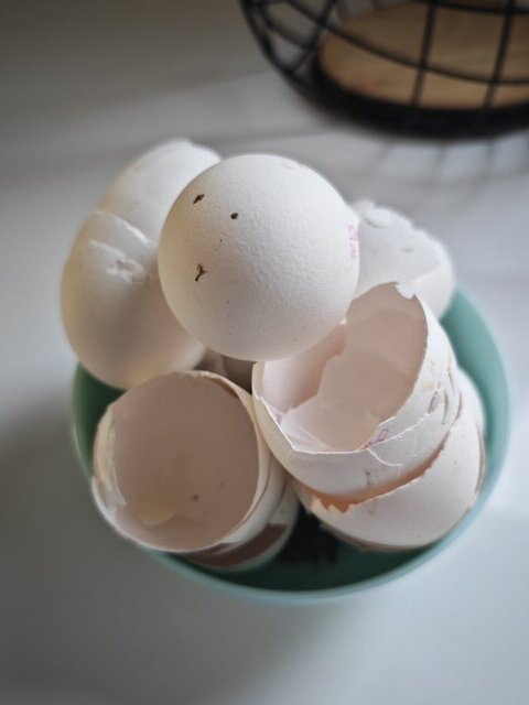 Eggshells in Gardening