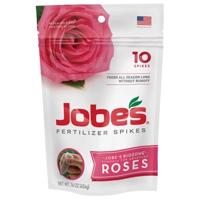 food for roses