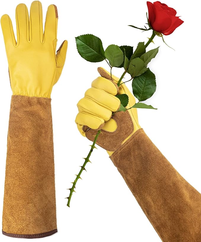 Rose pruning techniques , gloves for rose pruning