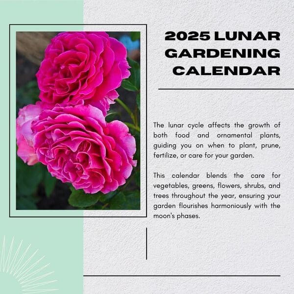 Lunar calendar foe gardeners 2025