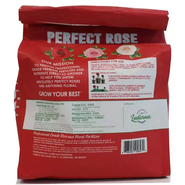 hot cocoa rose