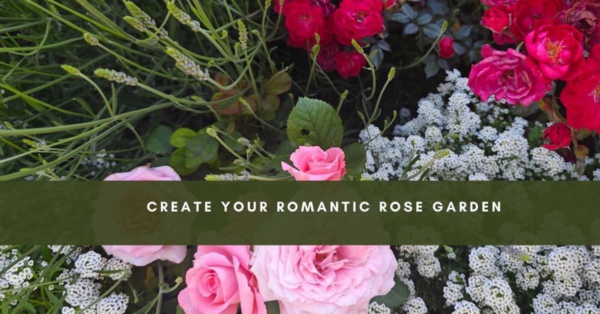 romantic rose garden